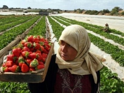 Emigranti in campagna