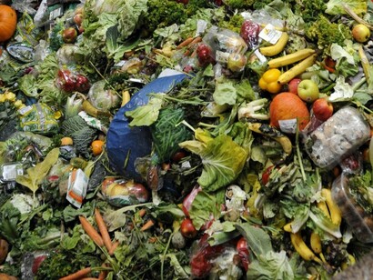 Verduras tiradas a la basura