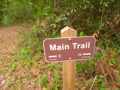 Natural Area Teaching Lab Trails. Courtesy of Florida Museum of Natural History