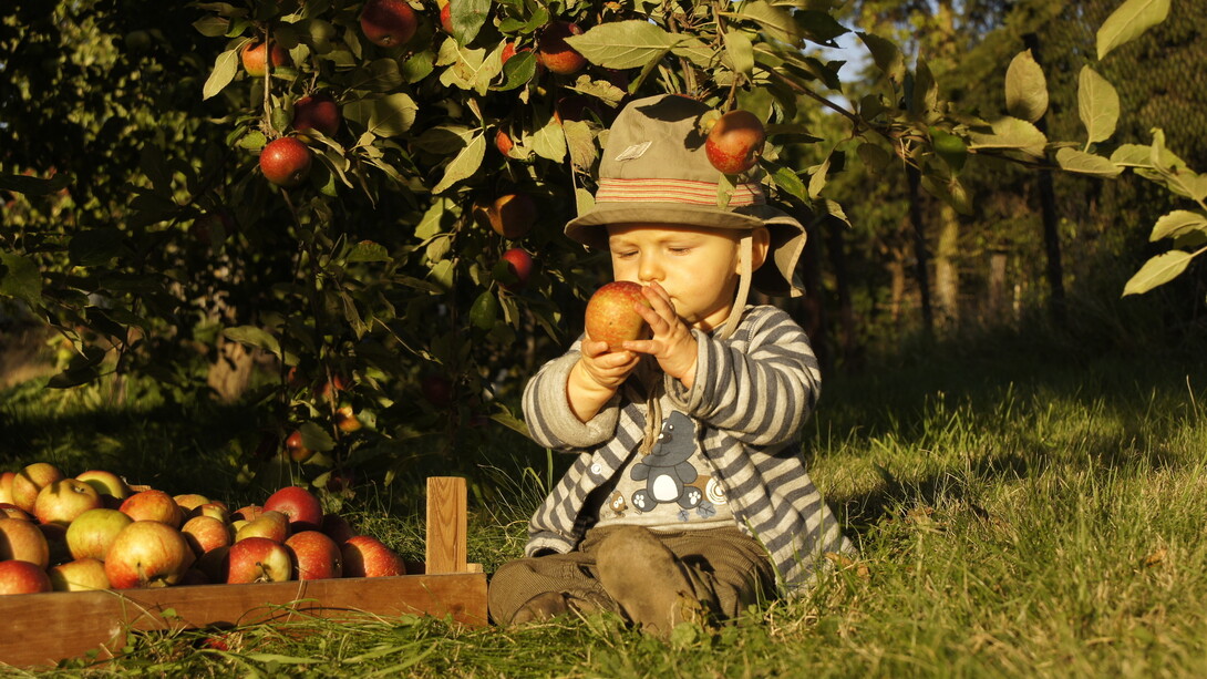A child eating an apple © Steffen Sameiske, 2013
