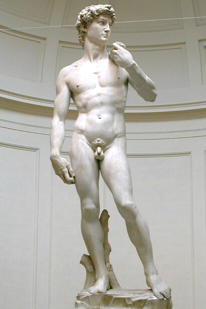Il David di Michelangelo