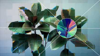 Una planta reflejada en una cuadrícula de vidrio fragmentada. Esta cuadrícula es una metáfora visual de cómo la inteligencia artificial (IA) y las tecnologías de aprendizaje automático pueden utilizarse para extraer y analizar datos biológicos de forma innovadora, así como de la estructura repetitiva y autosimilar de estos sistemas