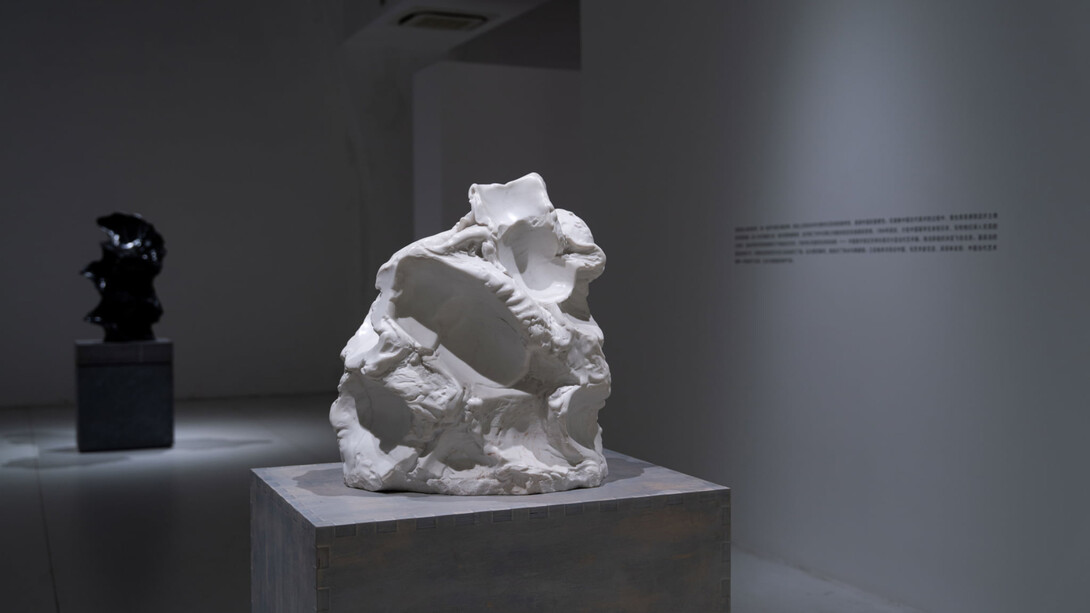 Sui Jianguo, Asian stories, exhibition view. Courtesy of Tokyo Gallery + BTAP