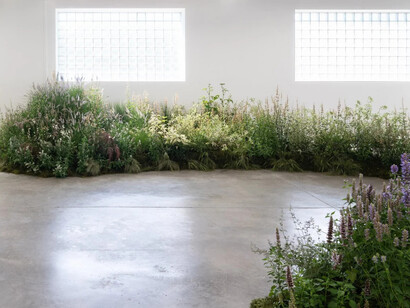 Nicole Rossi, Desire path, exhibition view. Courtesy of Carvalho