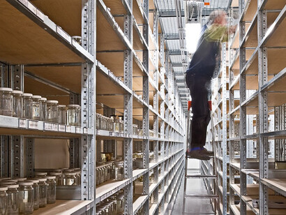 The Wet Collections. Courtesy of Museum für Naturkunde