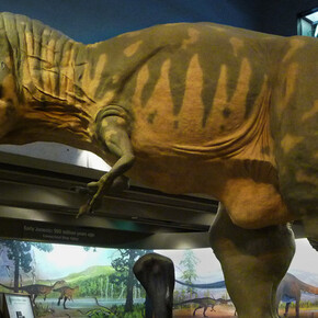 Dinosaurs: Modeling the Mesozoic. Courtesy of Museum of Science 