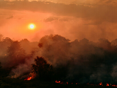 Bushfires burning below Stacks Bluff in Tasmania, Australia