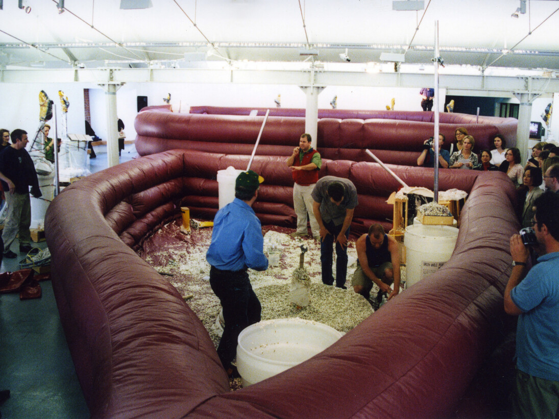 Installation view of PeaRoeFoam, The Liver Pool (2002) at the 2002 Liverpool Biennial, Liverpool, United 