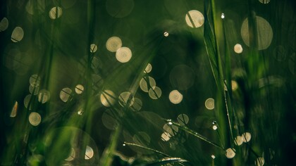 The mattering map is a living, breathing multi-dimensional, morphing entity