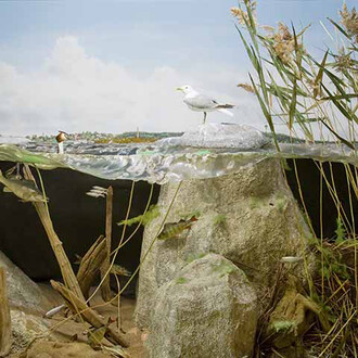 The Natural History Museum. Courtesy of Vapriikki