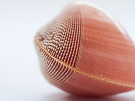 !Hola Caracola! Courtesy of Casa de la Ciencia