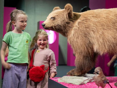 Waldreich. Der wald und wir! Ausstellungsansicht. Mit freundlicher genehmigung des Schlossmuseums Linz