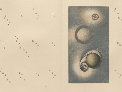 Max Ernst: Beyond Painting. Courtesy of MoMA