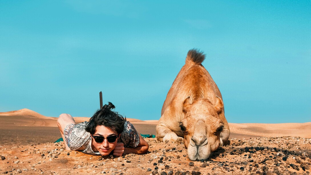 Finding time to pause and watch the beauty of nature can help us to discover our values