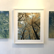 Installation view, Nancy Simonds, Uplifting. Courtesy of Elisa Contemporary Art