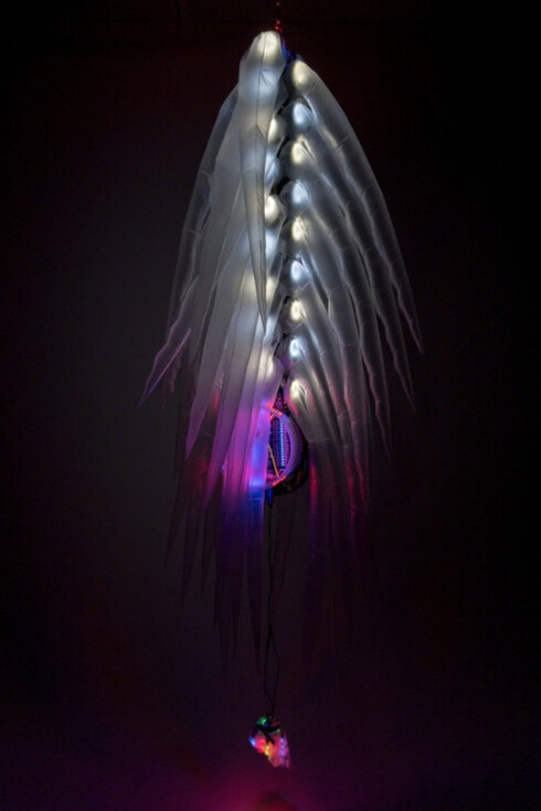 Incubate. Courtesy of Ronald Feldman Fine Arts