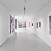 Adam Lupton, Too sure of the sun, exhibition view. Courtesy of Galerie Judin