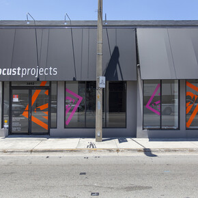Locust Projects, Miami