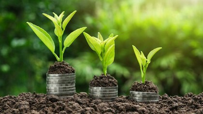 Green economy
