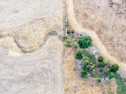 Zoe Wetherall, Hint of Green, archival pigment print, limited edition color photograph. Courtesy of the artist and the Front Room Gallery