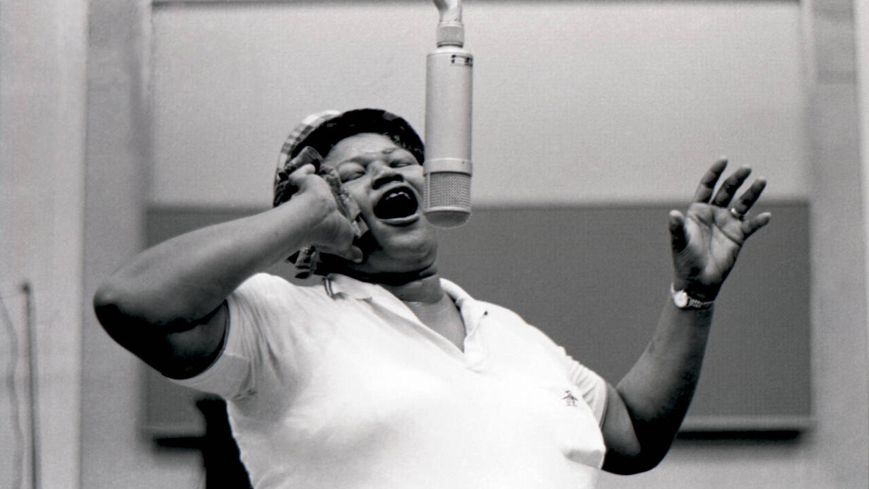 Big Mama Thornton for Arhoolie Records (detail), about 1958 – 70. Courtesy of V&A Museum of Childhood
