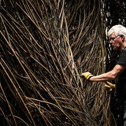 Patrick Dougherty. Courtesy of BYU Museum of Art