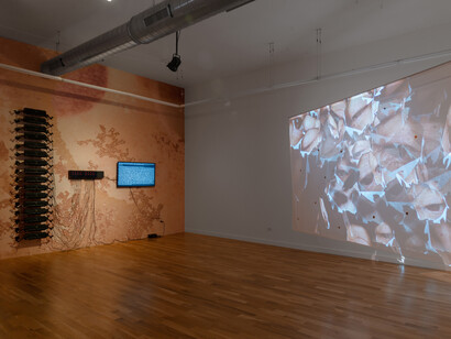 Tromarama, Auto ally, exhibition view. Courtesy of Document Gallery