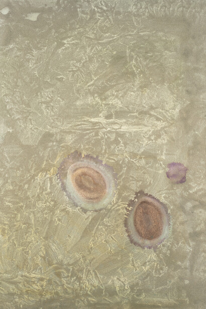 Phoebe Unwin, Lens, 2019, acrilico su tela, cm 76x61, Courtesy l'artista e Amanda Wilkinson Gallery, London