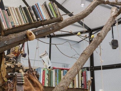 Mark Dion. Courtesy of ICA Boston 