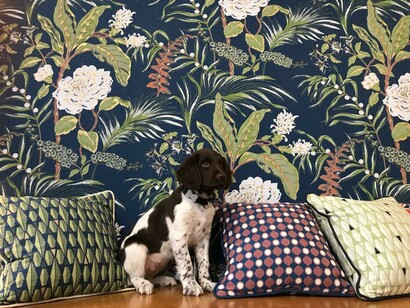 Thorp of London with mascot Oslo