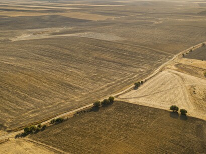 Vista aérea de plantação. Segundo Liberman (1998), somente cerca de 11% dos agricultores familiares usam sistemas de irrigação e apenas 3,7% utilizam insumos agrícolas modernos, como sementes melhoradas e fertilizantes. Essa realidade reforça a baixa produtividade e a vulnerabilidade dos pequenos produtores