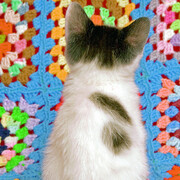 Arne Svenson, Strays 27 (detail), 2010. Courtesy of Robert Klein Gallery