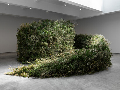 Meg Webster, Thicket, exhibition view. Courtesy of Paula Cooper Gallery
