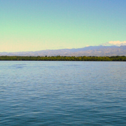 Estero de Puntarenas, en cuyo manglar fueron enterrados Mora y Cañas. Foto: Luko Hilje