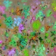 Cai Jin, Landscape No.17, 2008, Oil on canvas, 59 x 59 in