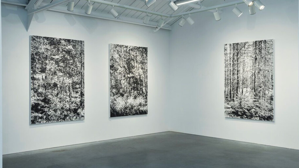 Glass Summers. Courtesy of Eleanor Harwood Gallery