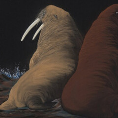 Tunirrusiangit. Courtesy of AGO 