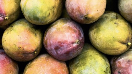  Ce fruit savoureux est devenu un véritable pilier économique pour le pays
