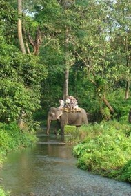 Elephant ride across Gorumara National Park
