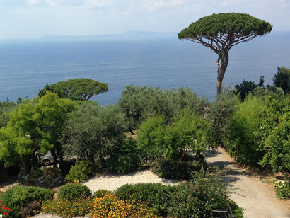 La vegetazione di Sorrento