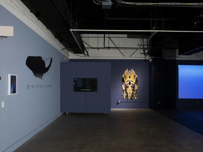 Jaret Vadera. Courtesy of Project for Empty Space