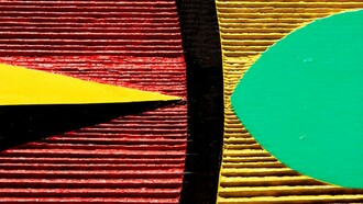 The paradox represented by polarization