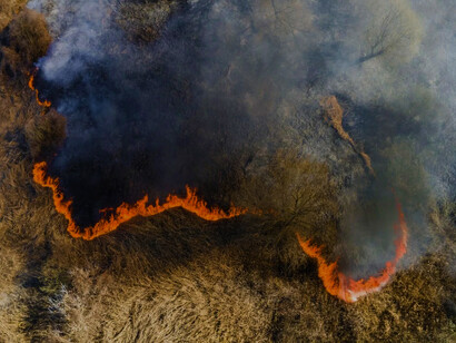 Incendio forestal provocado por las olas de calor en Europa, 2023