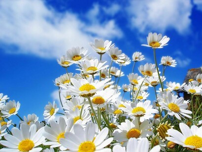 La natura e la salute