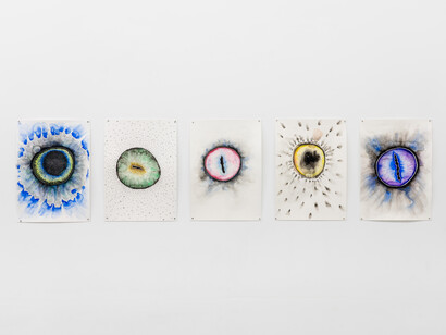 Gayle Chong Kwan, Politics of the gaze, vue de l'exposition. Avec l'aimable autorisation de la galerie Alberta Pane