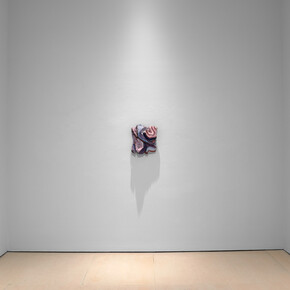 Henrique Oliveira, London works, exhibition view. Courtesy of McClain Gallery