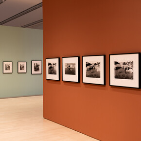 Laura Aguilar, Desnudos en la naturaleza, vista de exhibición. Cortesía de Phoenix Art Museum