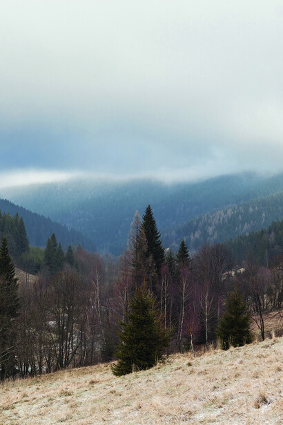 Krzysiek Orłowski. Courtesy of Wroclaw Contemporary Museum
