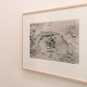 Deborah Bell Photographs