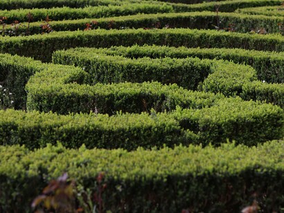 Labirinto. "Contra o portão da viela do anjo" ou diante d’"O lago do sonho", esta "História com suspeito dentro" a "Andar pelo nevoeiro" com "Passos nocturnos" a diferentes "Velocidades" elaborará "As voltas de um certo mundo" até que reencontramos "Oescorpião", "O objecto do (des)interesse", alfinete atravessando totemicamente o volume, pois, como declara num título: "O centro do mundo sou eu"